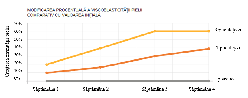 studiu 2
